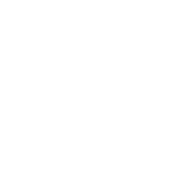 Gear icon symbolizing the development of individual solutions