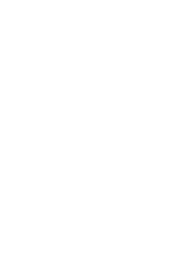 Padlock icon, as symbol for optimized security